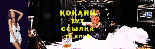 альфа пвп Новодвинск