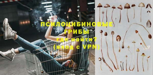 ECSTASY Новозыбков
