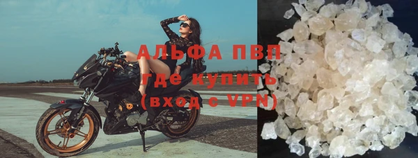 альфа пвп Новодвинск