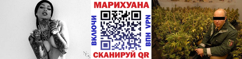Конопля Bruce Banner  мега ТОР  Болохово  где купить  